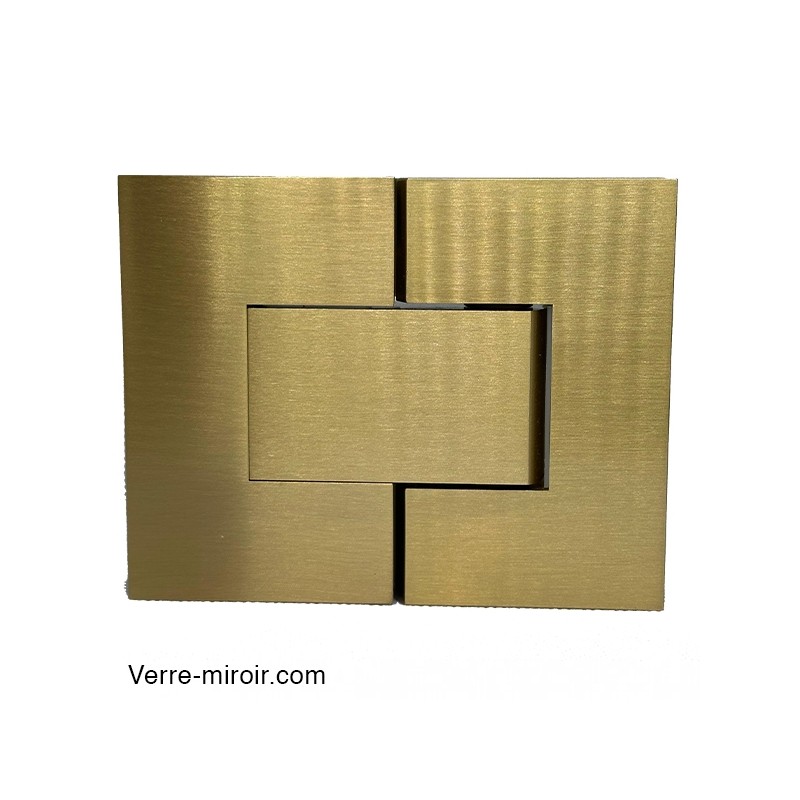 Charnière double laiton brossé pour porte de douche 180° face