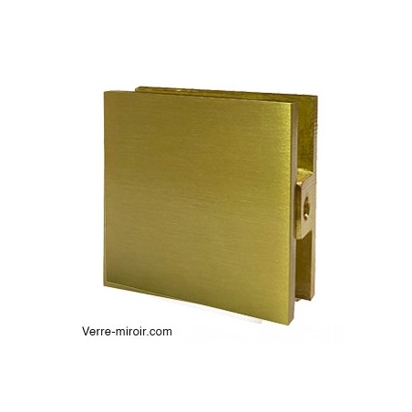 Pince verre laiton brossé paroi fixe de douche