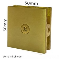 Pince verre laiton brossé paroi fixe de douche 2
