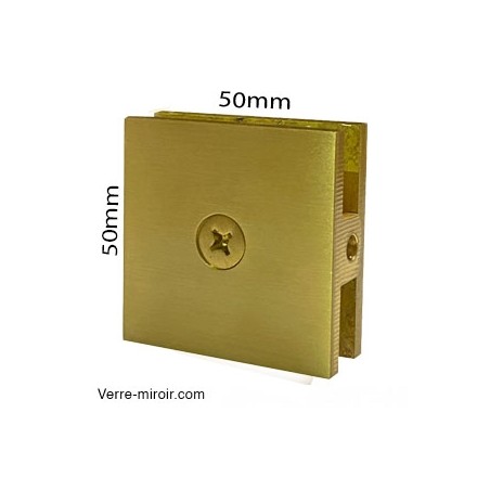 Pince verre laiton brossé paroi douche