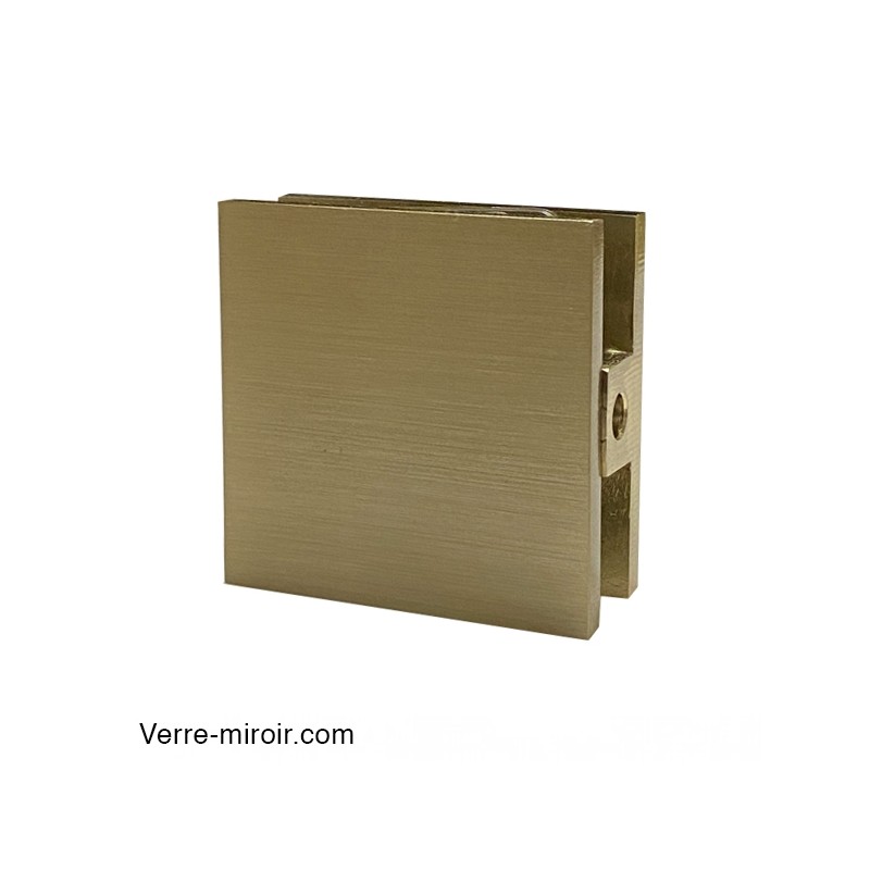 Pince verre bronze brossé paroi fixe de douche