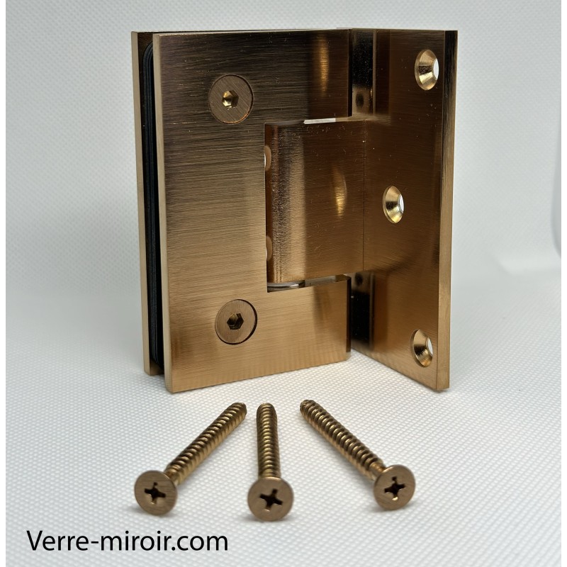 Charniere cuivre brosse porte douche