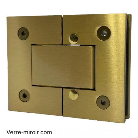 Charnière double laiton brossé pour porte de douche en Verre-Verre 180° arrière 