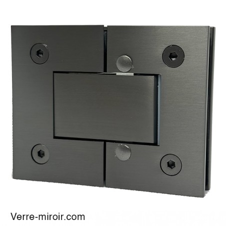 Charnière canon de fusil porte de douche verre-verre
